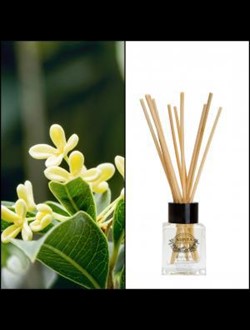 Doftpinnar 50 ml - Bambu & Olivblomma
