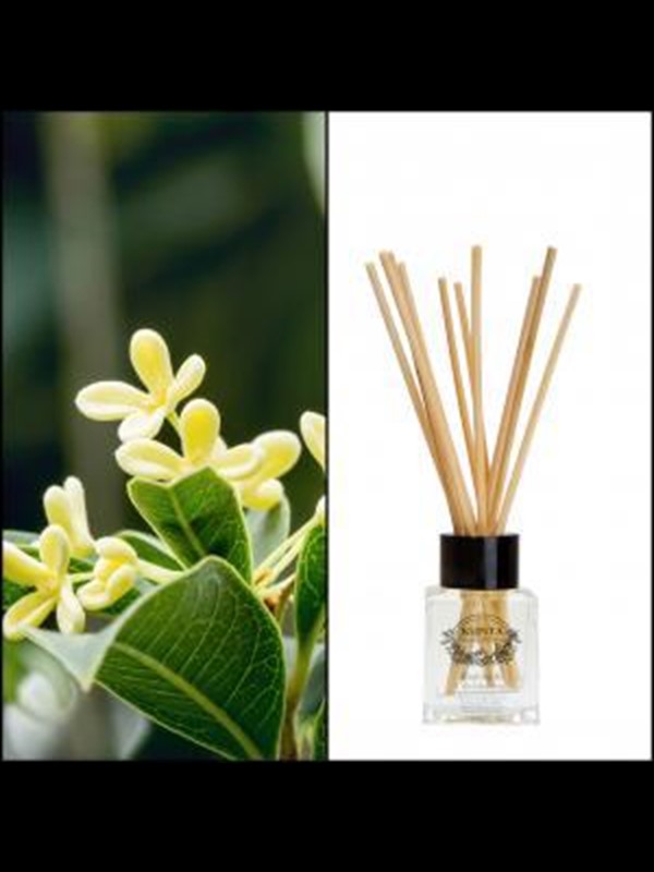 Doftpinnar 50 ml - Bambu & Olivblomma K0952